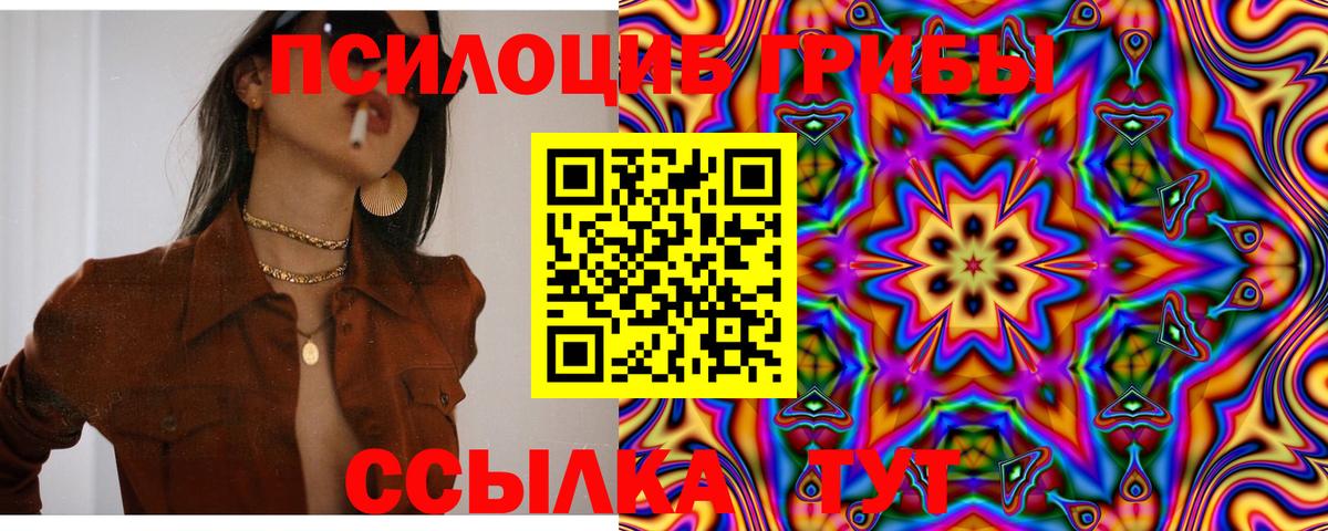 Псилоцибиновые грибы мухоморы  Вход с VPN  Электрогорск  Псилоцибиновые грибы Psilocybine cubensis 