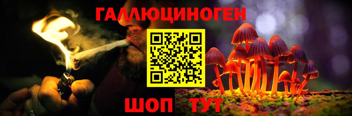 Галлюциногенные грибы MAGIC MUSHROOMS Электрогорск